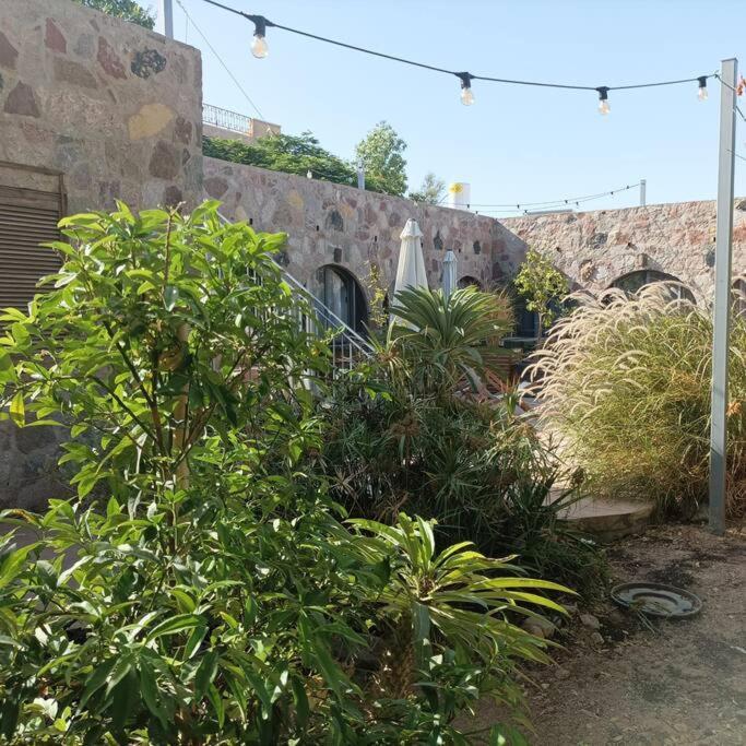 Eilat Stone Terrace-אילת סטון טראסアパートメント エクステリア 写真