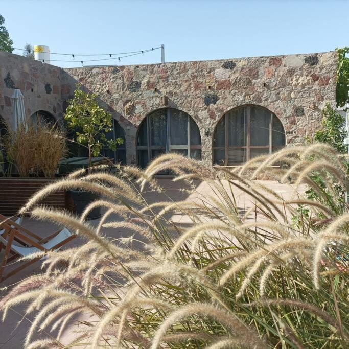 Eilat Stone Terrace-אילת סטון טראסアパートメント エクステリア 写真