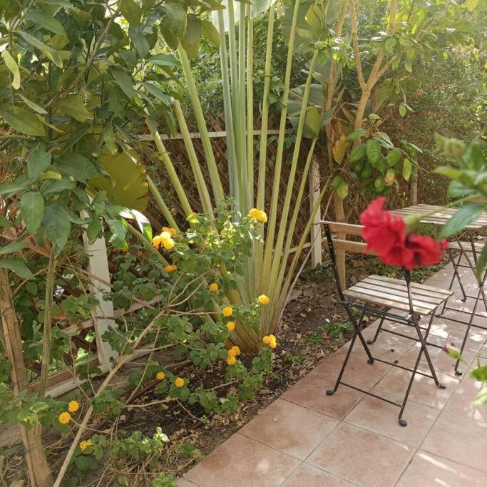 Eilat Stone Terrace-אילת סטון טראסアパートメント エクステリア 写真
